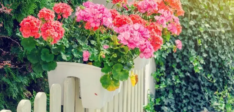 Hanging Planters Fence Decoration
