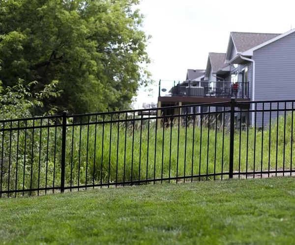 Ornamental Wrought Iron Fencing Mn (3)